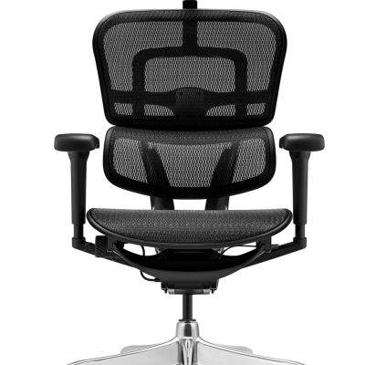 Fauteuil de bureau ERGOHUMAN Ultra - Assise résille - noir